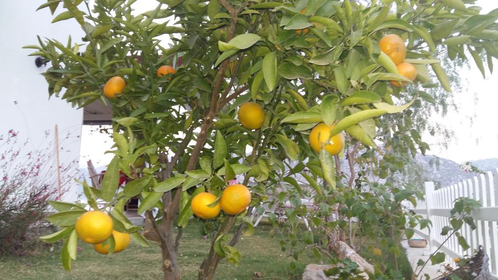 Masal Tatil Evi Selimiye  Zewnętrze zdjęcie